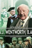 Poster for A.J. Wentworth, B.A.
