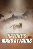 Poster for Nature's Mass Attacks
