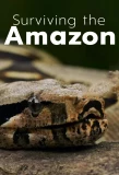 Poster for Surviving the Amazon