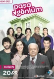 Poster for Paşa Gönlüm
