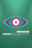 Poster for Promi Big Brother – Die Late Night Show