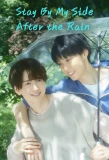 Poster for Stay by My Side after the Rain