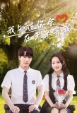 Poster for Love Through Time