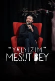 Poster for Yalnızım Mesut Bey