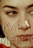 Poster for Kara Melek