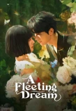 Poster for A Fleeting Dream