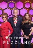 Poster for Celebrity Puzzling