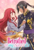 Poster for Betrothed to My Sister's Ex