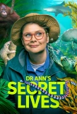 Poster for Dr Ann's Secret Lives
