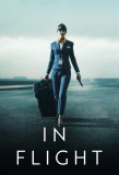Poster for In Flight