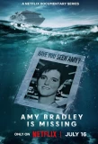Poster for Amy Bradley Is Missing