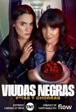 Poster for Viudas Negras: P*tas y Chorras