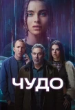 Poster for Wonder