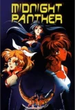 Poster for Midnight Panther