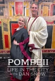 Poster for Pompeii: Life in the City