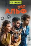 Poster for Пес Альф