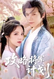 Poster for Gong Lve Jiang Jun Ji Hua