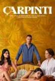 Poster for Çarpıntı