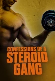 Poster for Confessions of a Steroid Gang