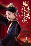 Poster for Bian Qi Wei Qie, Yi Nu Jong Shi Zhang Gong Zhu