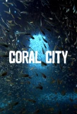 Poster for Coral City