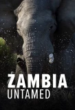 Poster for Zambia Untamed