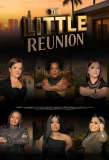 Poster for The Little Reunion
