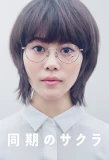 Poster for Our Dearest Sakura