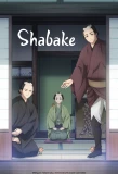 Poster for Shabake