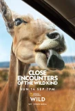 Poster for Close Encounters of the Wild Kind