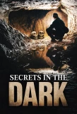 Poster for Secrets in the Dark