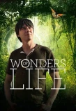 Poster for Wonders of Life