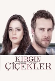 Poster for Kırgın Çiçekler