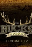 Poster for The Bucks of Tecomate