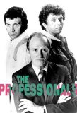 Poster for The Professionals