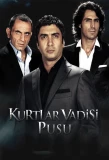 Poster for Kurtlar Vadisi Pusu