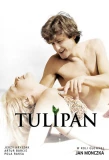 Poster for Tulipan