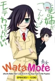 Poster for Watashi ga Motenai no wa Dou Kangaete mo Omaera ga Warui!