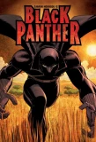Poster for Black Panther