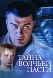 Poster for Если завтра в поход