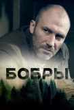Poster for Бобры