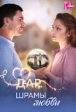 Poster for Дар. Шрамы любви