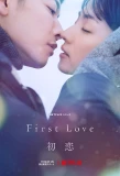 Poster for First Love