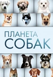 Poster for Планета собак