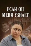 Poster for Если он меня узнает