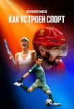 Poster for Кинопоиск: Как устроен спорт