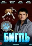 Poster for Бигль