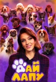 Poster for Дай лапу