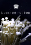 Poster for Царство грибов