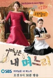 Poster for The Mother and Daughter-in-Law